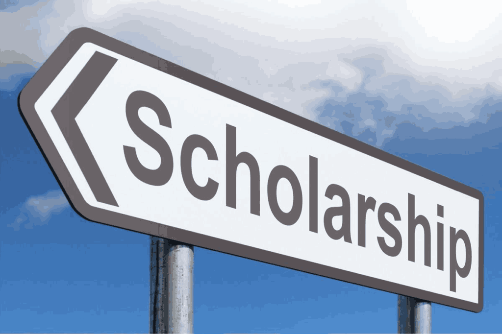 Central Sector Scholarship 2024-25