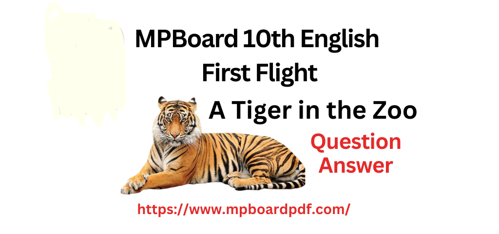 MP Board 10th English First Flight How to Tell Wild Animals Question Answer